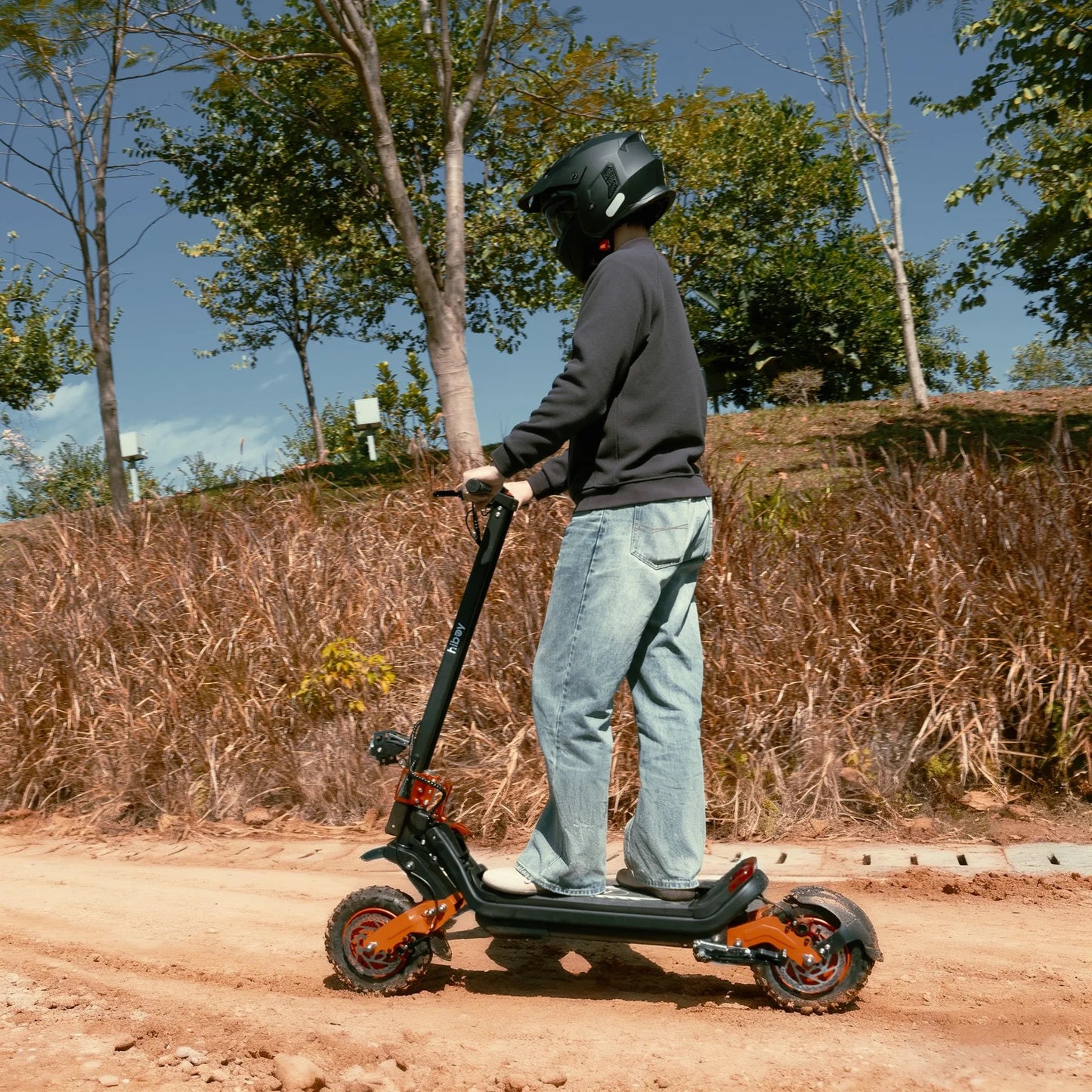 Hiboy DM2 Off-Road Electric Scooter